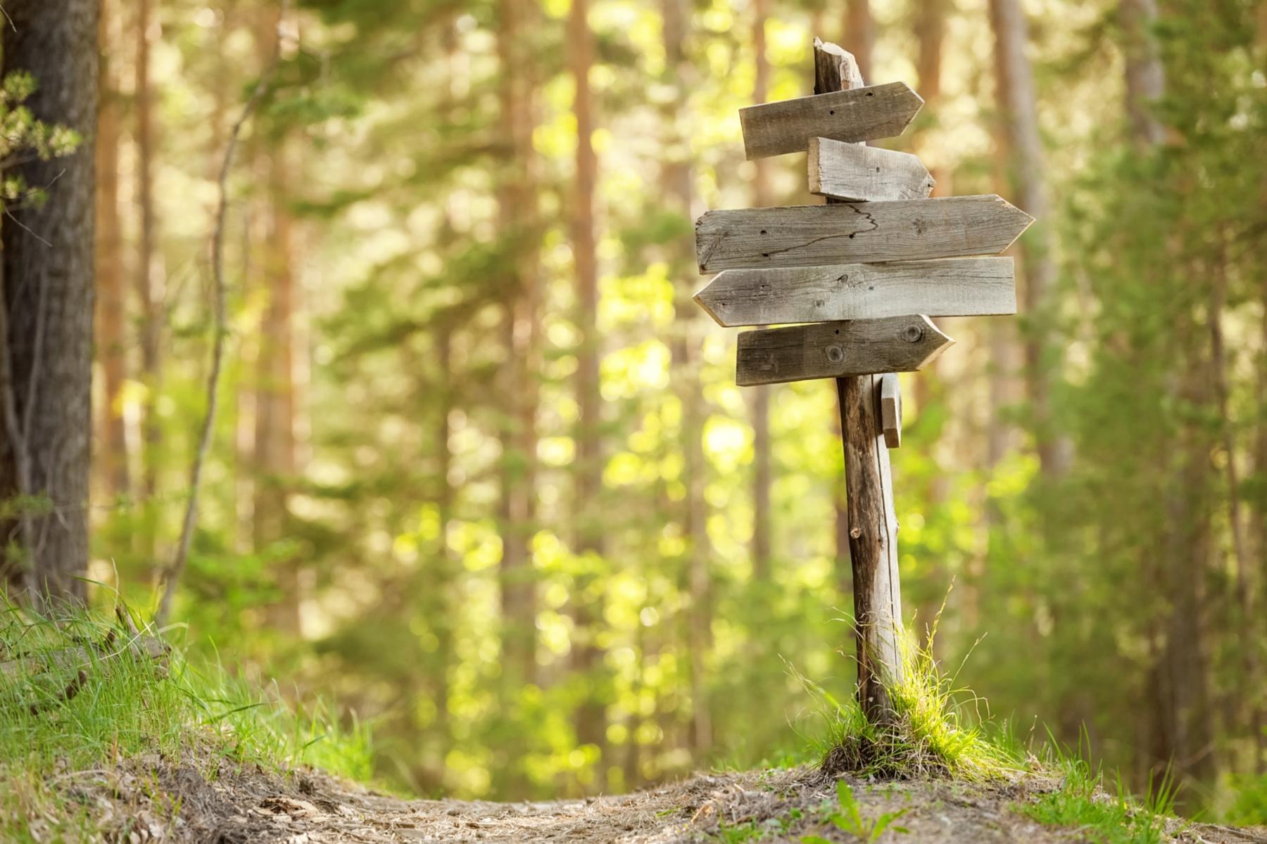 Unbeschrifter Wegweiser im Wald