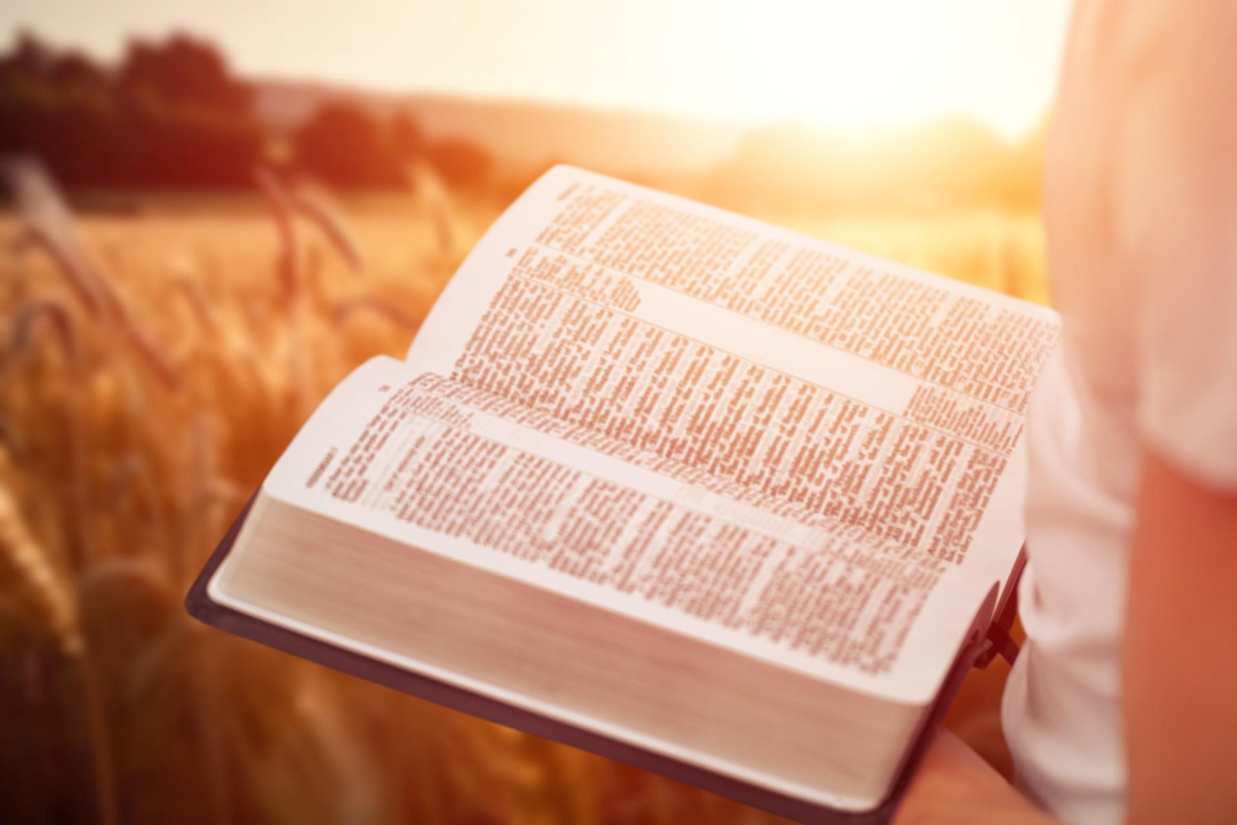 Bibel