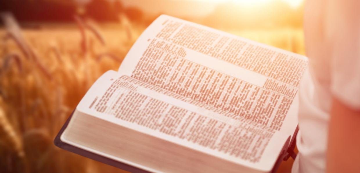 Bibel