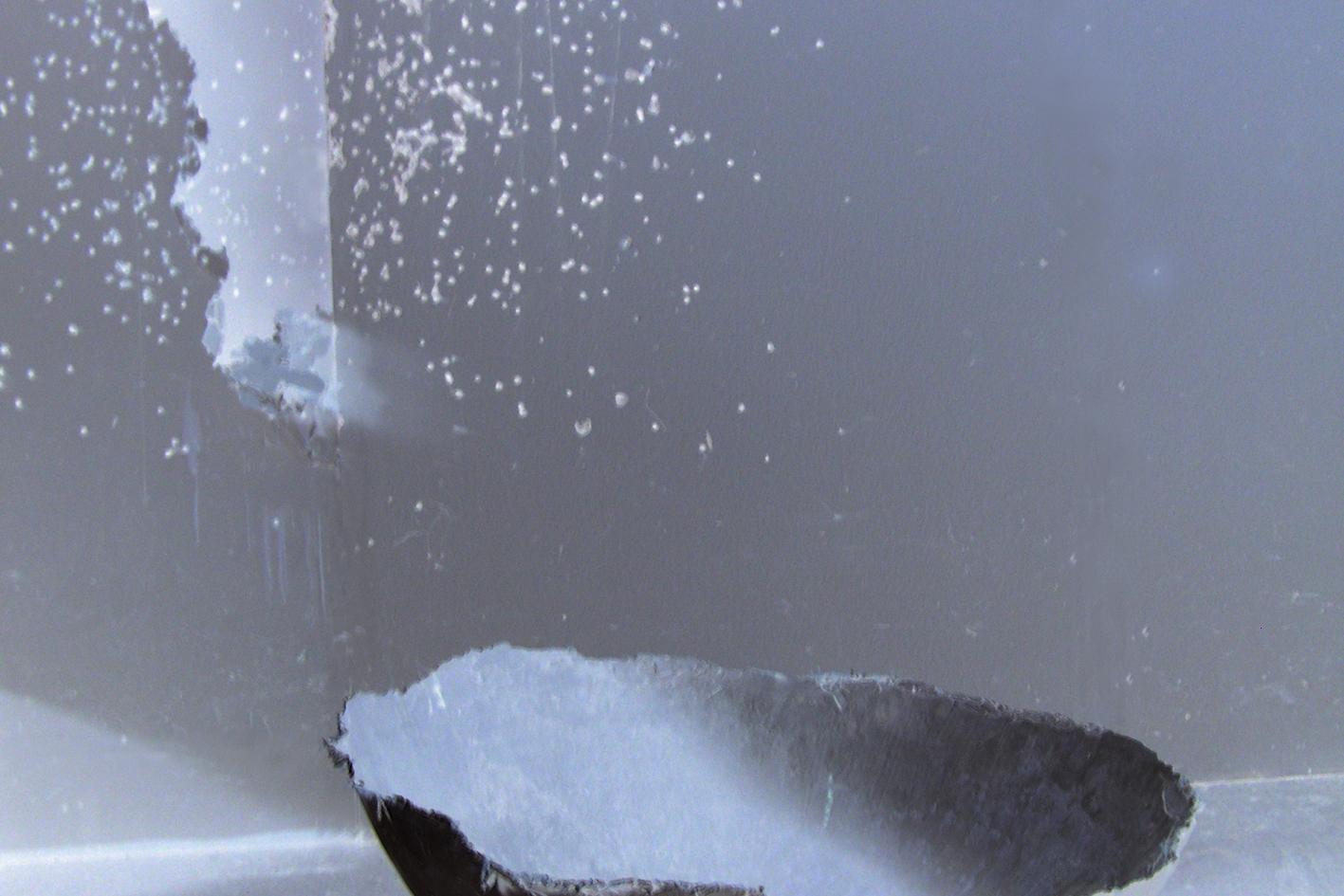 BH_Schale_Vollmotiv_1–P1010014