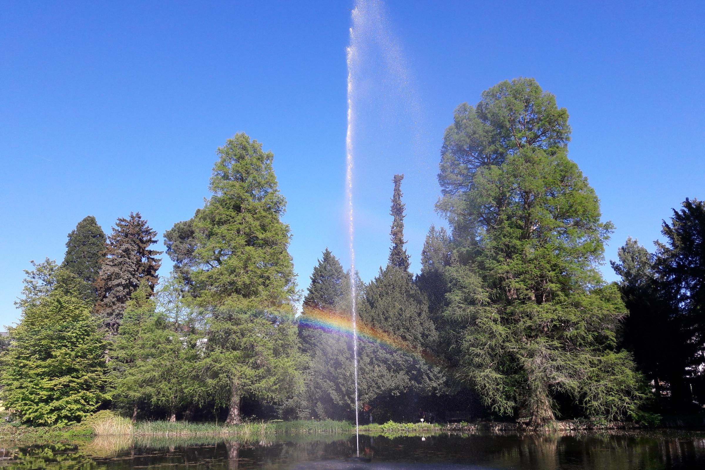 Bonn Botanischer Garten Weiher mit Regenbogen