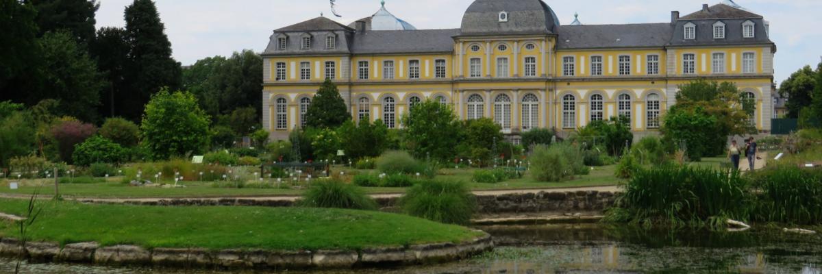 Bonn - Botanischer Garten Juni