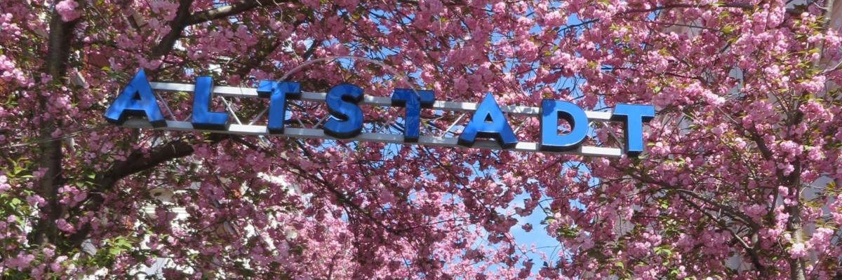Bonn Altstadt April 2015 (c) René Buchholz Bonn Altstadt April 2015