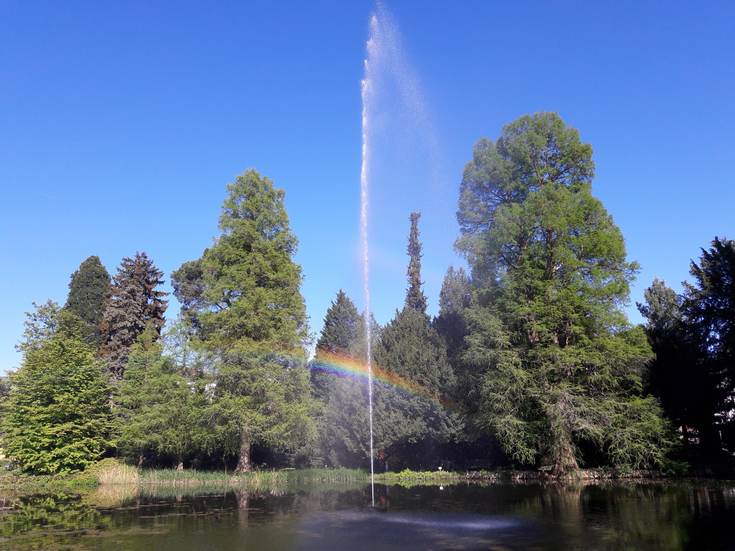 Bonn Botanischer Garten Weiher mit Regenbogen