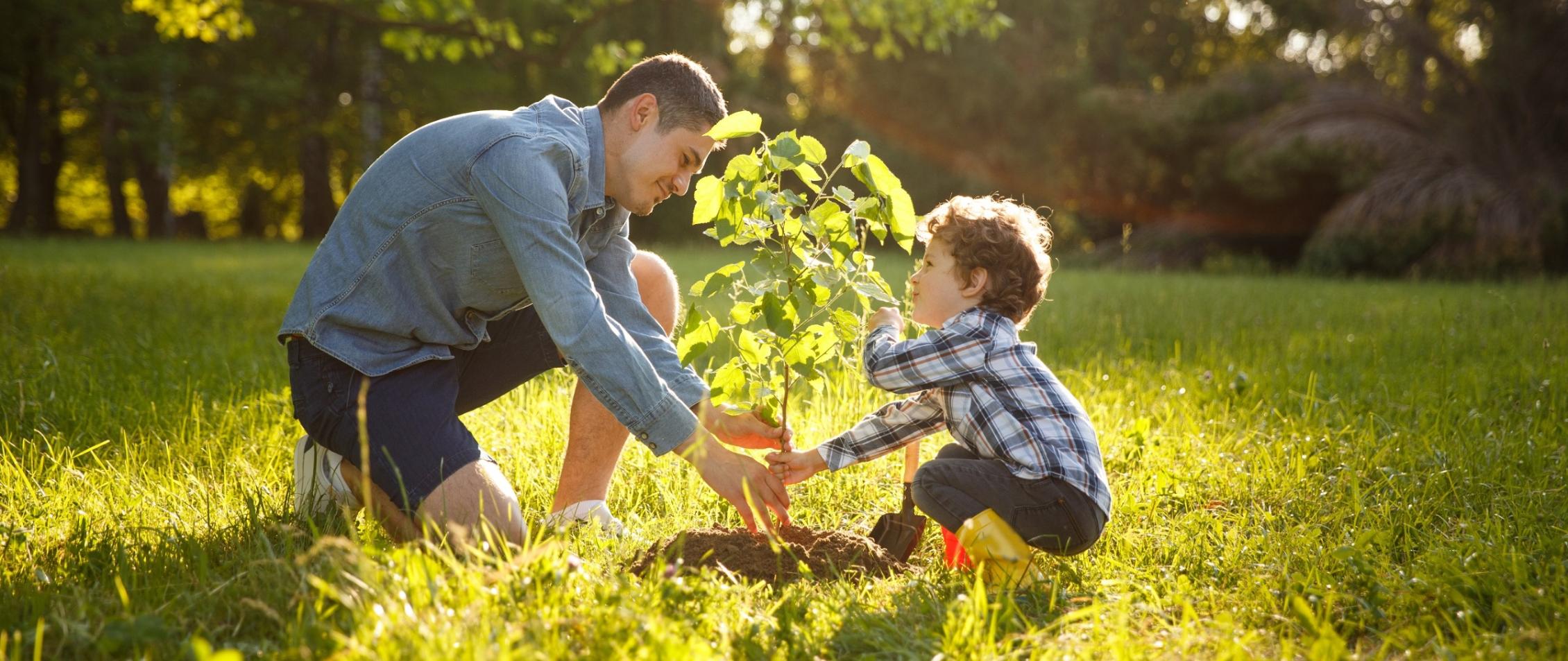 Vater und Sohn pflanzen gemeinsam einen Baum am Waldrand