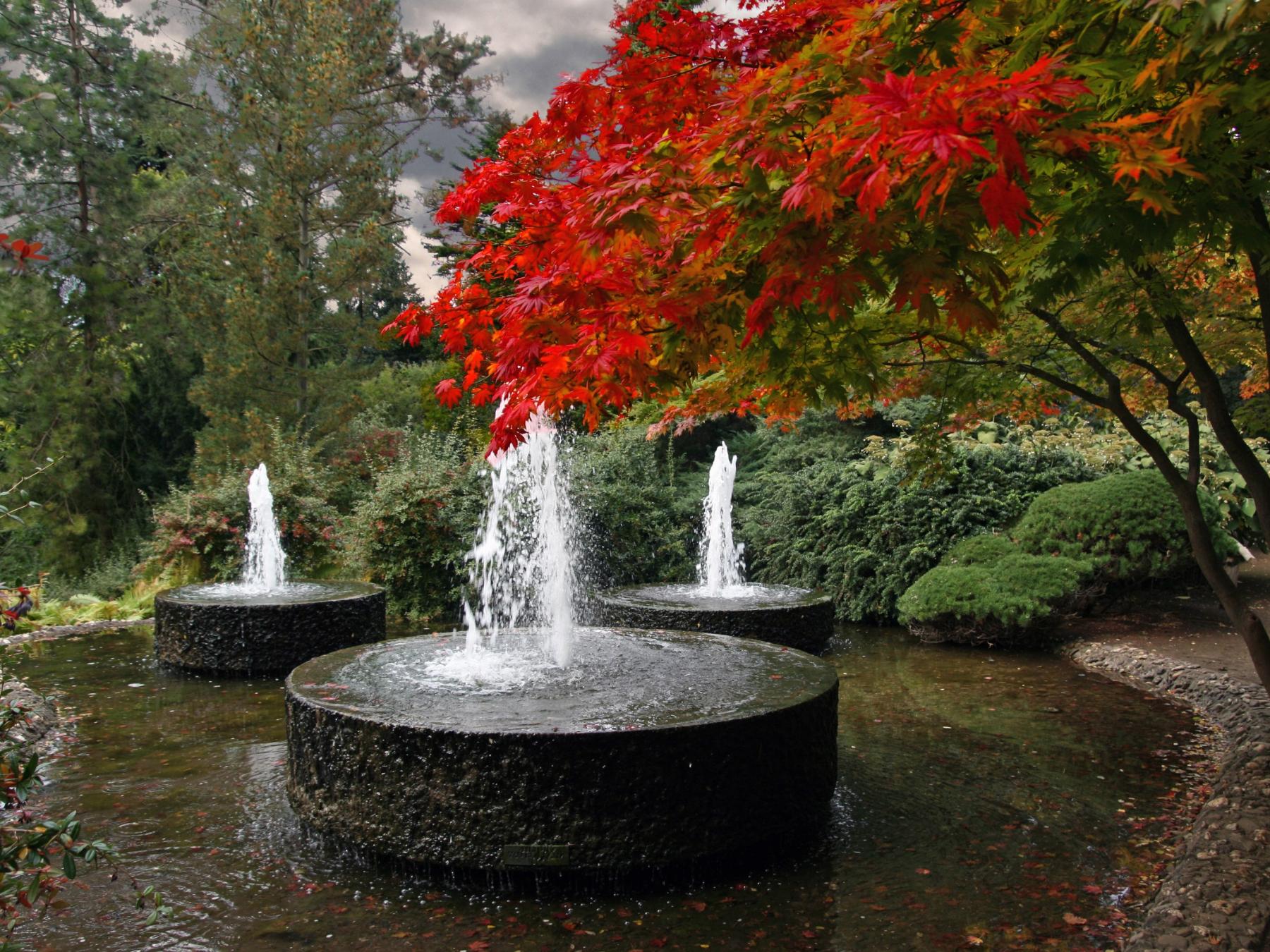 Brunnen im Forstbotanischen Garten