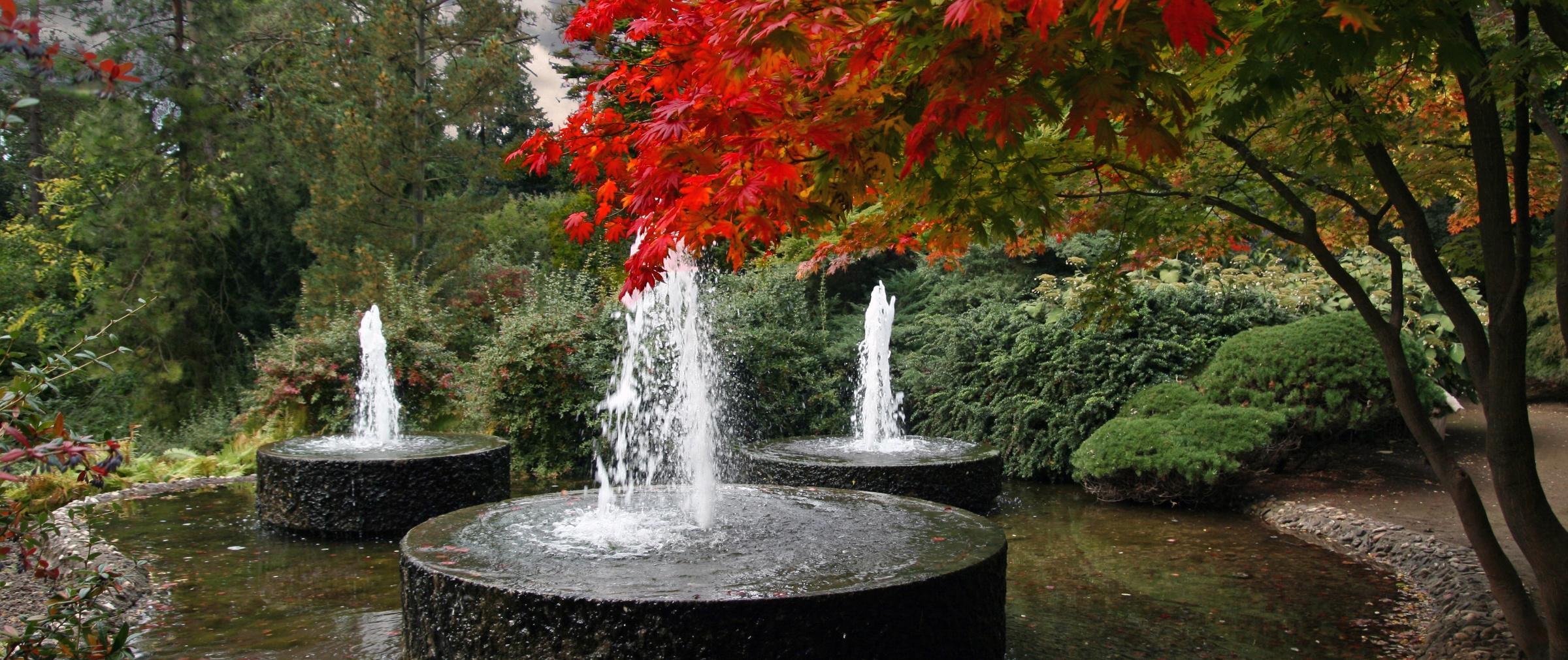 Brunnen im Forstbotanischen Garten
