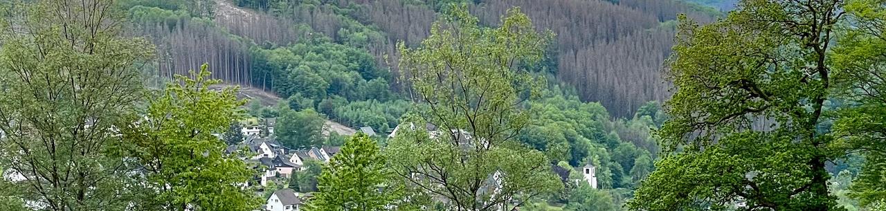 Wald