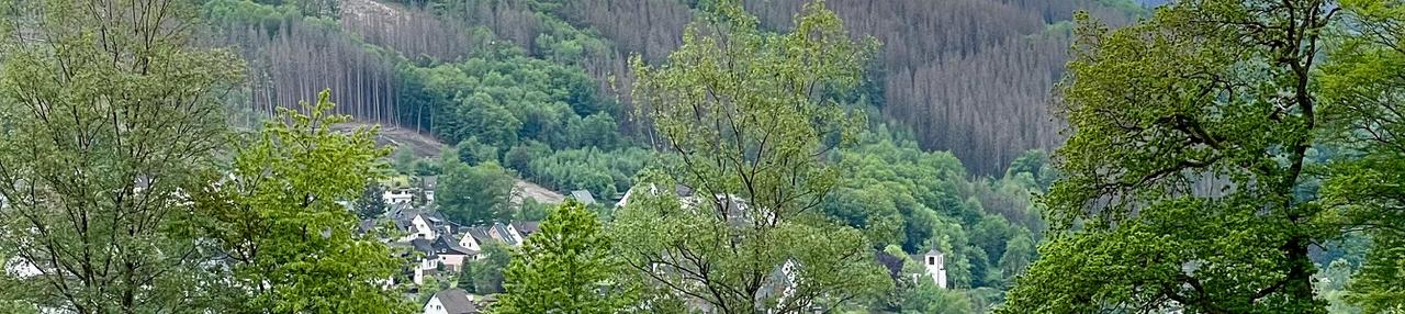 Wald
