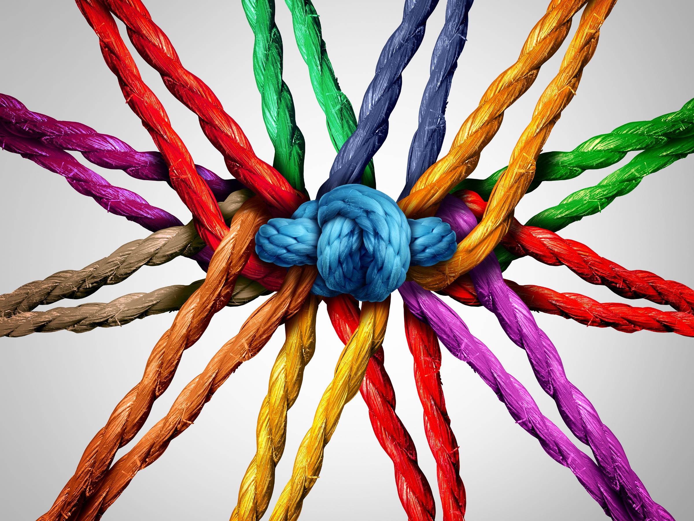 shutterstock_369392501_Lightspring_Knoten_bunte_Seile_frei